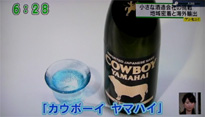 Cowboy Yamahai UX新潟テレビ21